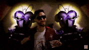 sgvmosquito animal health science virus GIF