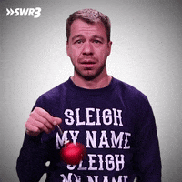 Merry Christmas No GIF by SWR3