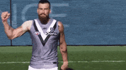Football Celebration GIF by Port Adelaide FC