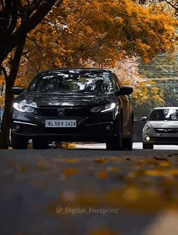 Honda Civic Autumn GIF