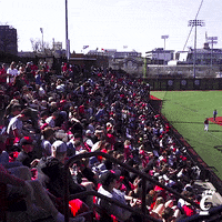 Bearcats Baseball GIF by Cincinnati Bearcats