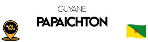 Guyane Sticker by NoirNomads