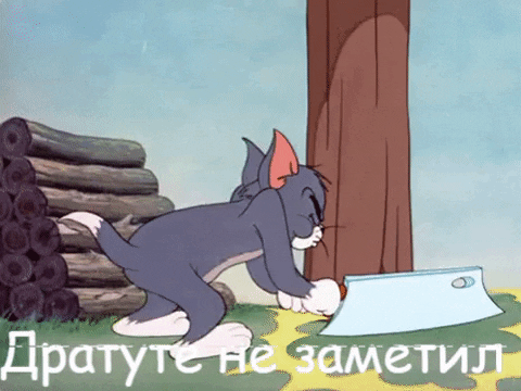 OlkeKazO giphygifmaker GIF