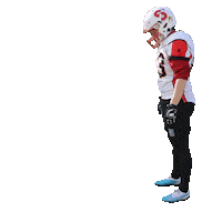 stuttgartscorpionssisters goat sisters stuttgart americanfootball Sticker