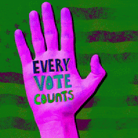 Vote Voting GIF by Todd Rocheford