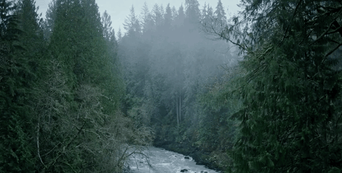 outside in movie GIF by The Orchard Films