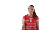 Sport Volleyball Sticker by LP Viesti