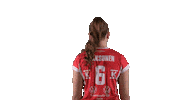 Sport Volleyball Sticker by LP Viesti