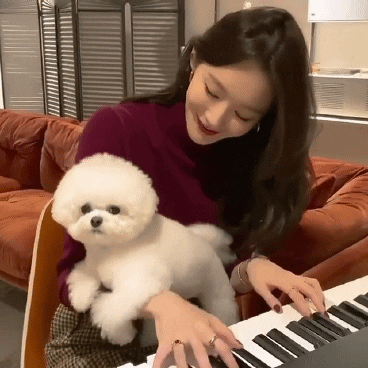cdongsoo giphyupload GIF