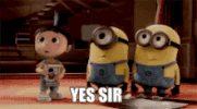 cat discover GIF