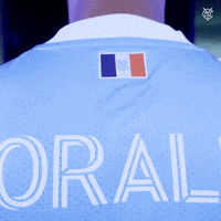 New York City Fc Reaction GIF by NYCFC