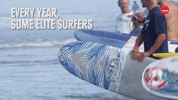 Dog Surfing Competition