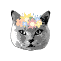 happy cat Sticker by ZONKT®