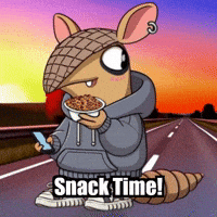 Road Trip Travel GIF by Chillo Dillo