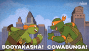 ninja turtles GIF by Teenage Mutant Ninja Turtles