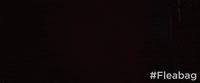 season 2 GIF by Fleabag