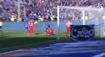 Afc Taj GIF