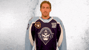 GIF by Milwaukee Admirals
