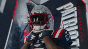 Football Shrug GIF by New England Patriots