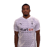 Alassane Plea Diefohlen Sticker by Borussia Mönchengladbach