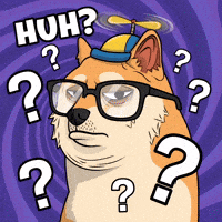 Shiba Inu What GIF by Doge Pound