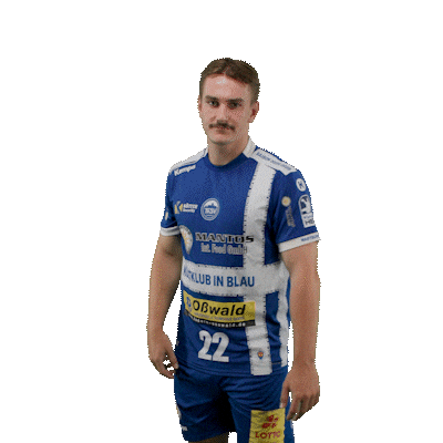 Handball Eisenach Sticker by DAIKIN HBL