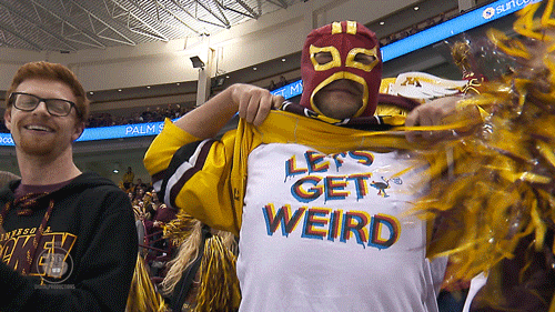 GIF by Minnesota Gophers