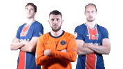 Toft Hansen Sport Sticker by Paris Saint-Germain Handball
