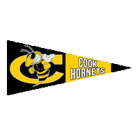 Football Hornets Sticker by GPB Sports