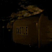 frank castle punisher GIF by Marvel's Daredevil