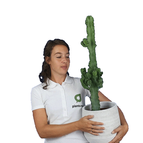 plantsome giphyupload kiss plant plants Sticker