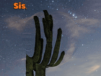 Germany Wow GIF by FranchiseONE.de