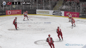 Hockey Sheffield GIF by Sheff_Steelers