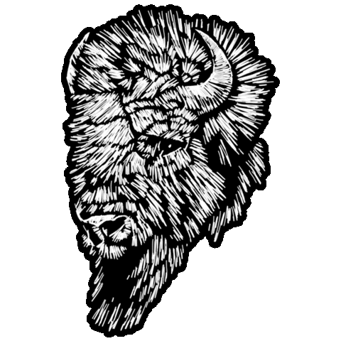 red dead redemption 2 bison Sticker by Rockstar Games