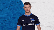 Bundesliga Berlin GIF by Hertha BSC