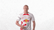 Football Soccer GIF by RB Leipzig