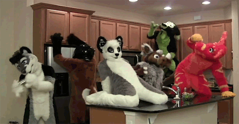 furry party GIF