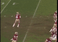 San Francisco 49Ers GIF by NFL