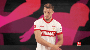 Vfb Stuttgart GIF by Bundesliga