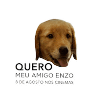 The Art Of Racing In The Rain Dog Sticker by 20th Century Fox