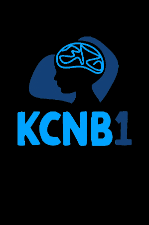 KCNB1 giphygifmaker raredisease kcnb1 GIF