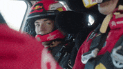 redbullracing france 2019 f1 french GIF