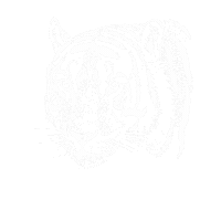 STILLMANmusic music coffee tiger christian Sticker