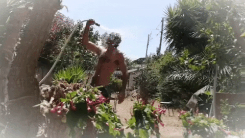shupshup giphygifmaker giphyattribution lobo estepario GIF
