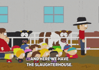 eric cartman cow GIF by South Park 