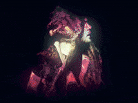 raffaelmiribung art glitch gay color GIF