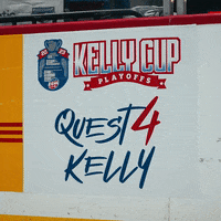 GIF by SCStingrays