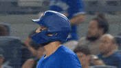 High Five Blue Jays GIF by Toronto Blue Jays