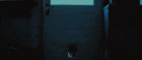 breaking in starfish movie GIF by 1091