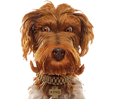 Isle Of Dogs King Sticker by Searchlight Pictures